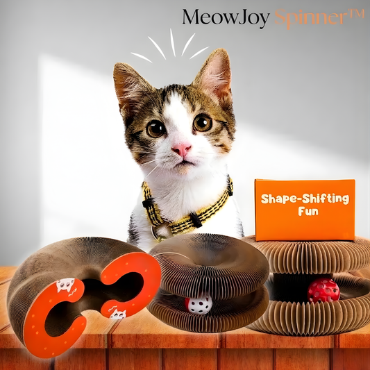 MeowJoy Spinner™