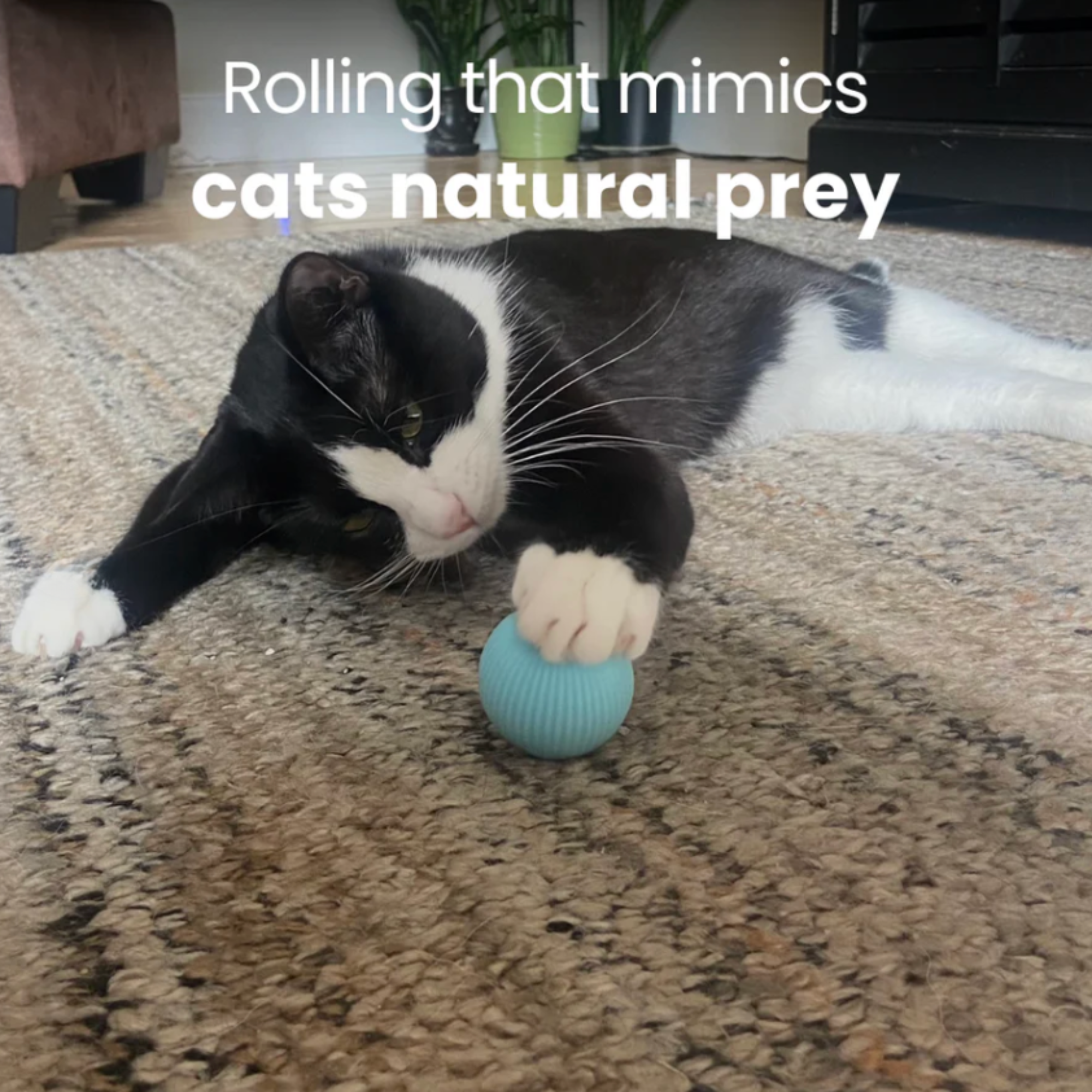 The original rolling smart ball