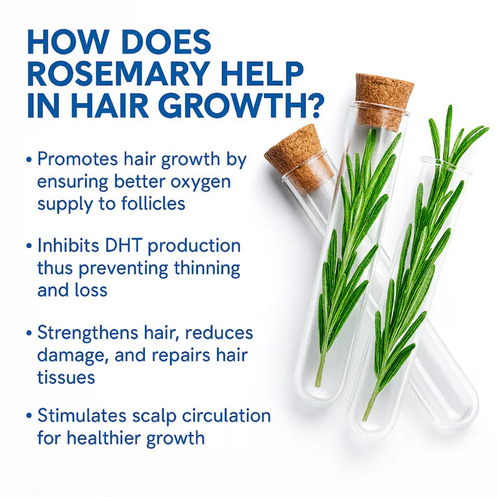 Aueral Hair Growth Serum Roll