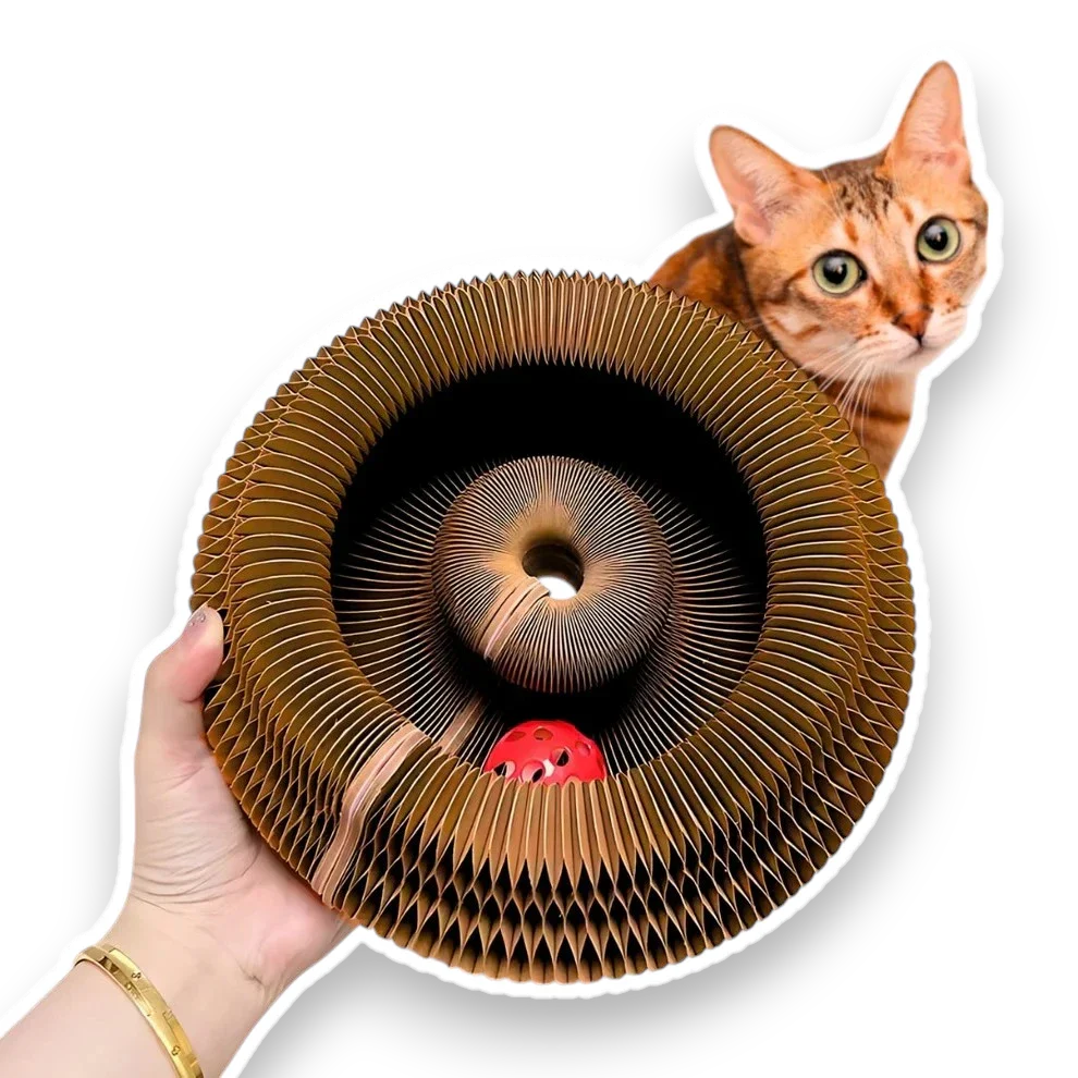 MeowJoy Spinner™