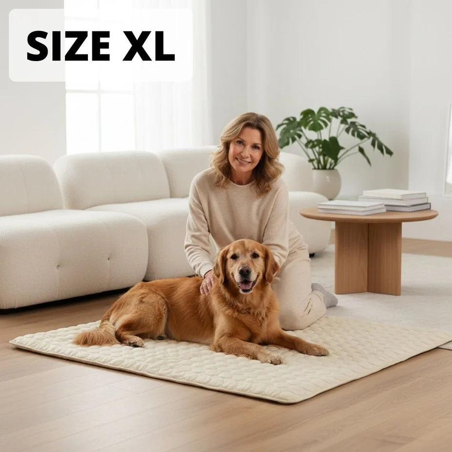 Aueral™ Cooling Dog Mat