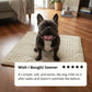 Arctic™ Cooling Dog Mat