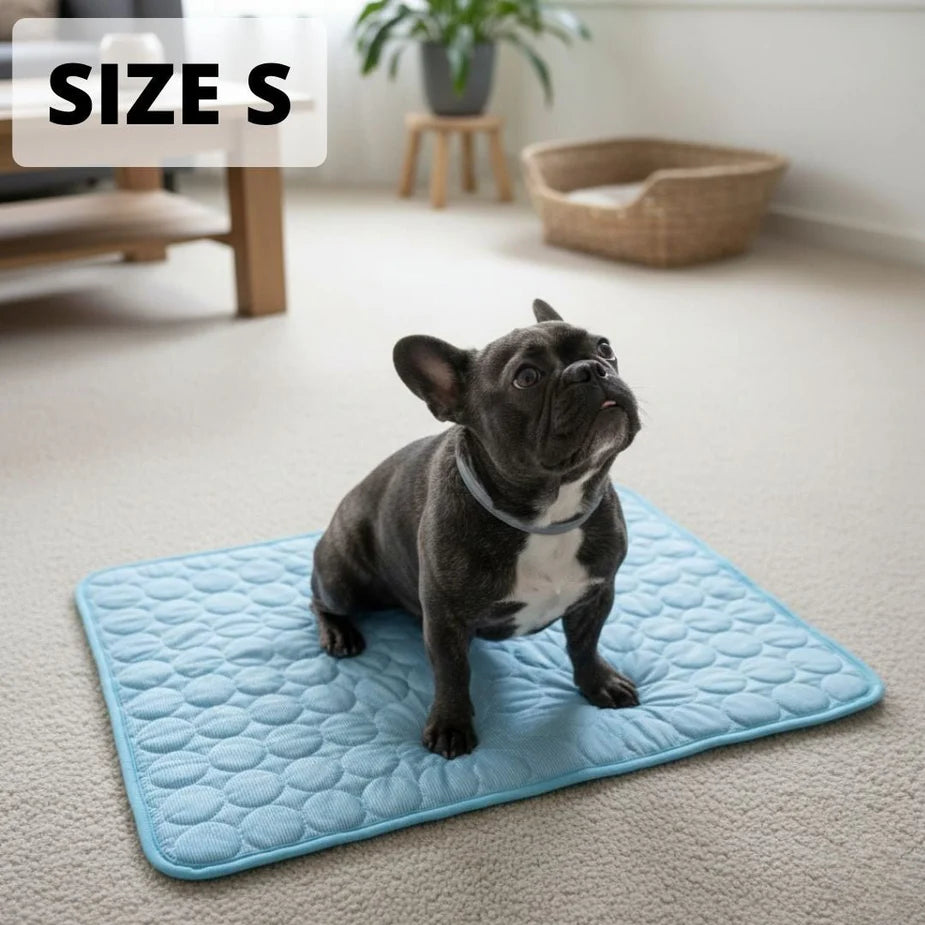 Aueral™ Cooling Dog Mat