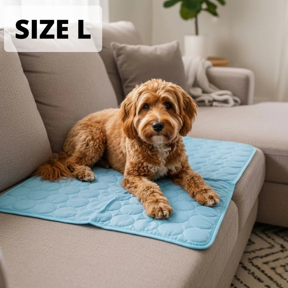 Aueral™ Cooling Dog Mat