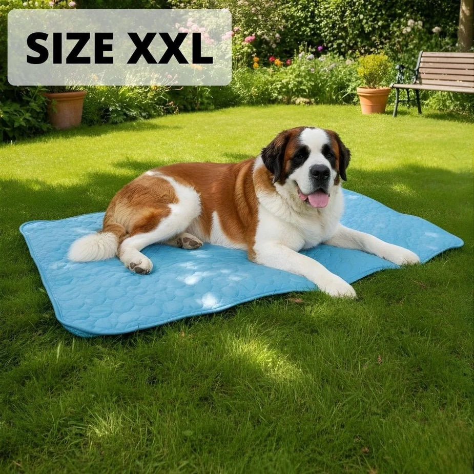 Aueral™ Cooling Dog Mat