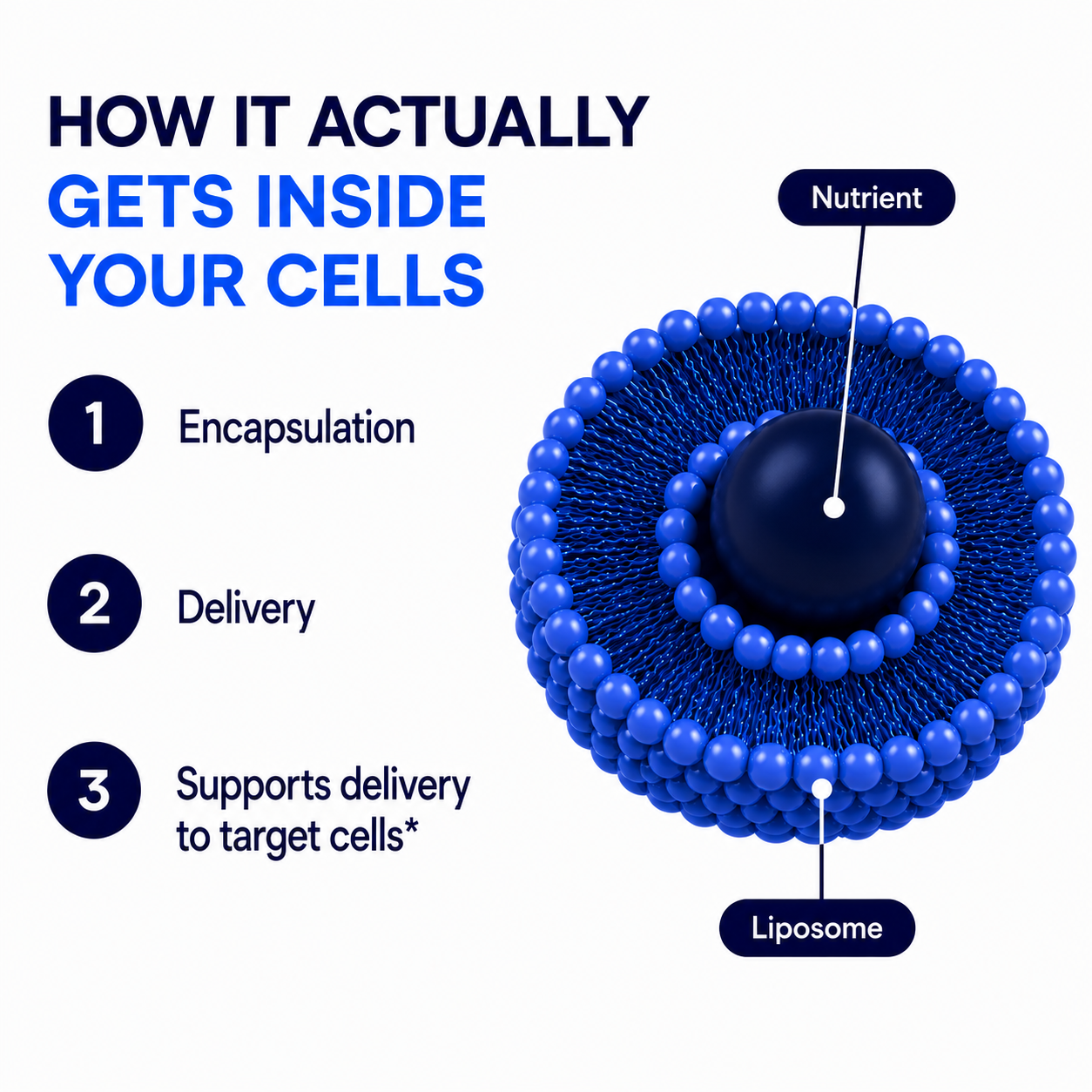 Liposomal Glutathione