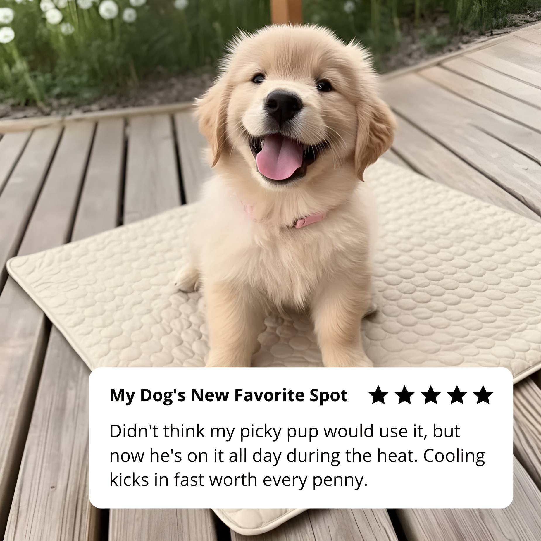 Aueral™ Cooling Dog Mat