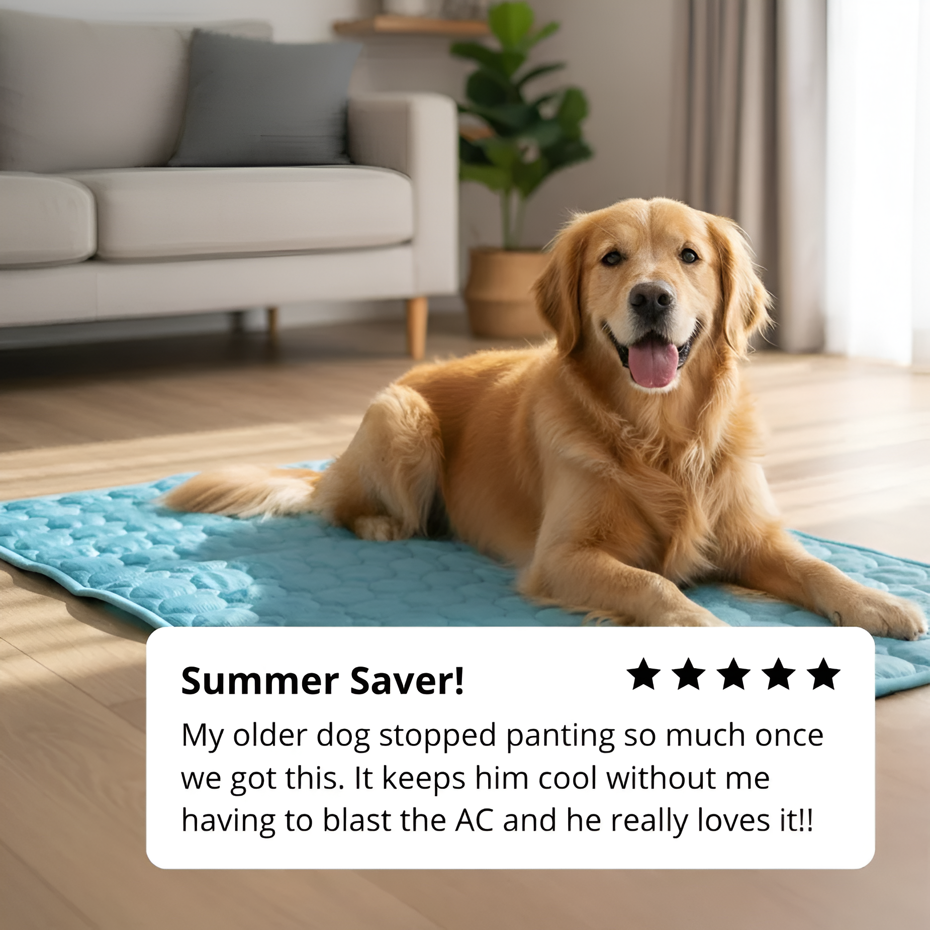 Aueral™ Cooling Dog Mat