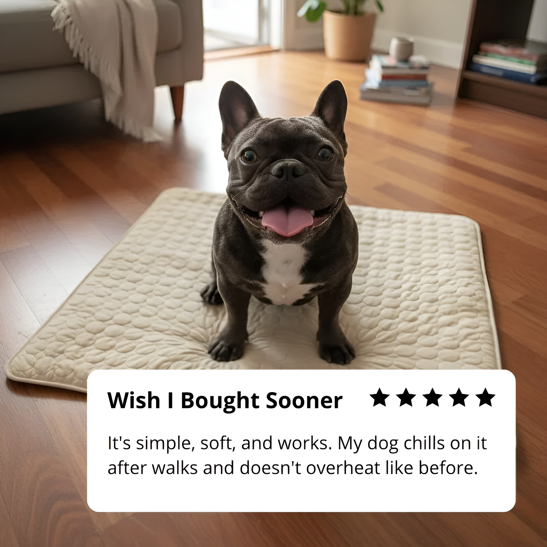 Aueral™ Cooling Dog Mat