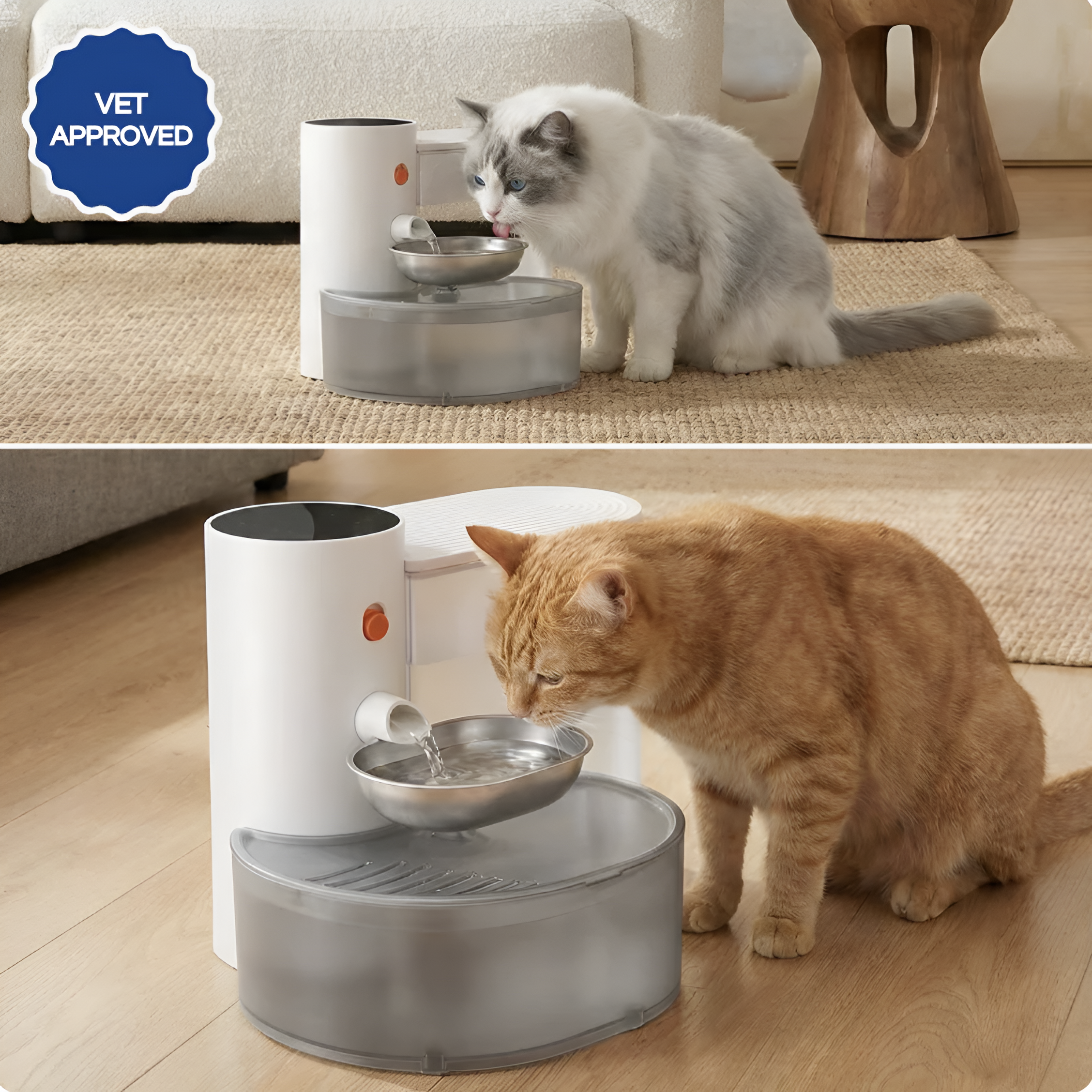 Aueral™ The Filterless Self-Refill Fountain