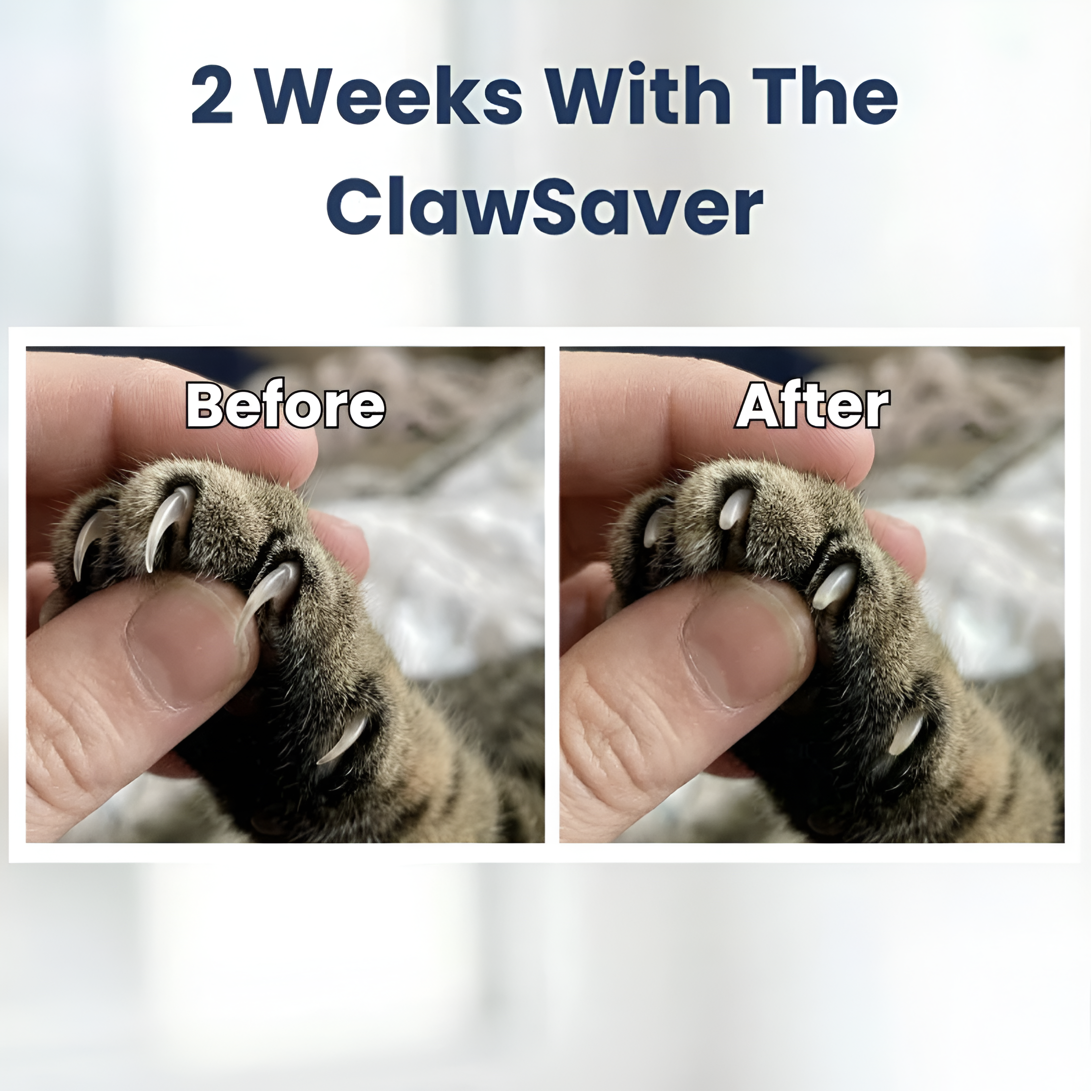 ScratchSaver™