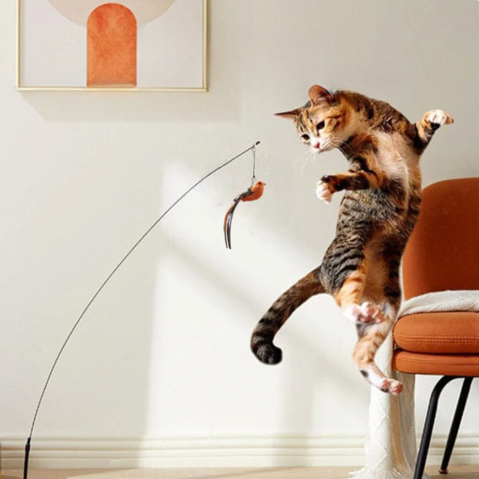 Bird simulation toy