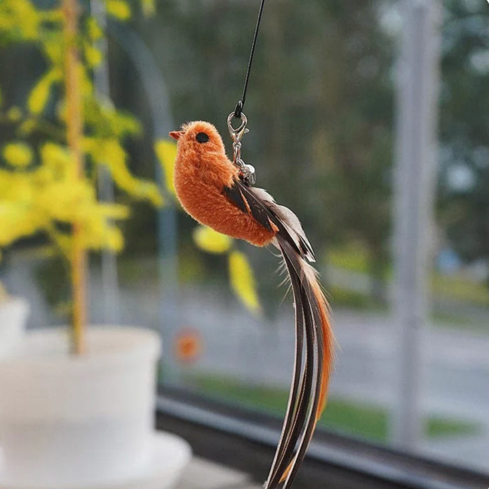 Bird simulation toy