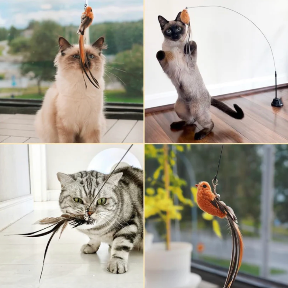 Bird simulation toy