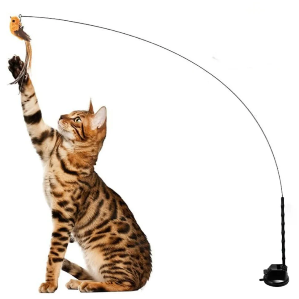Bird simulation toy